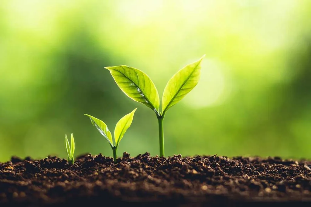 How to evolve in the living environment