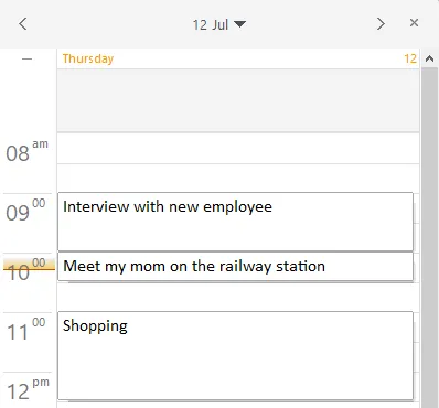 How to create the hourly schedule for day