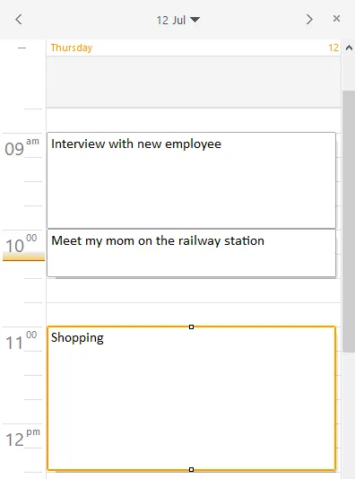 How to create the hourly schedule for day